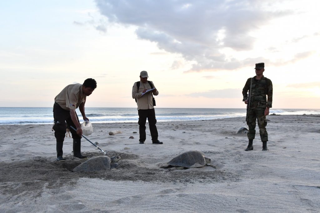 Chacocente coastal reserve