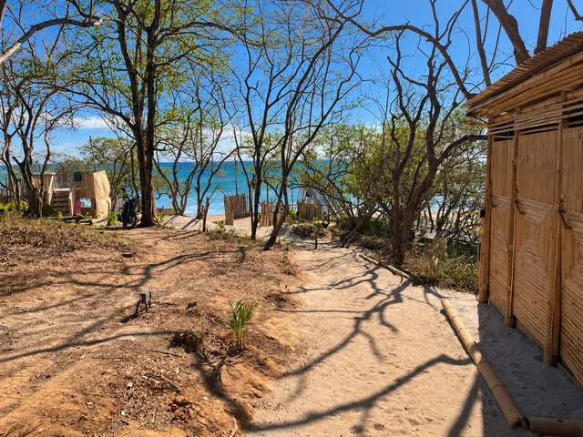 A shady path down to the beach