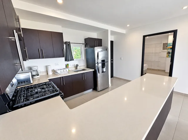Kitchen with a wide breakfast counter and dark cabinetry
