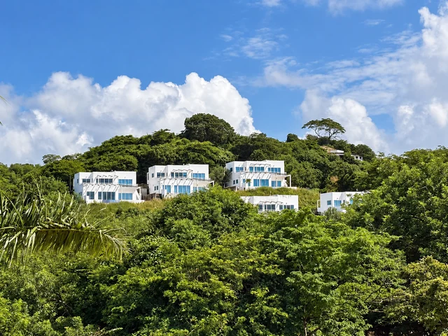 Hillside homes surrounded by tropical greenery