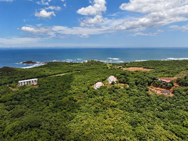 Aerial view of the resort and coastline