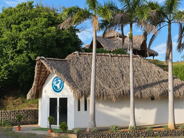 Thatched reception entrance and palm trees