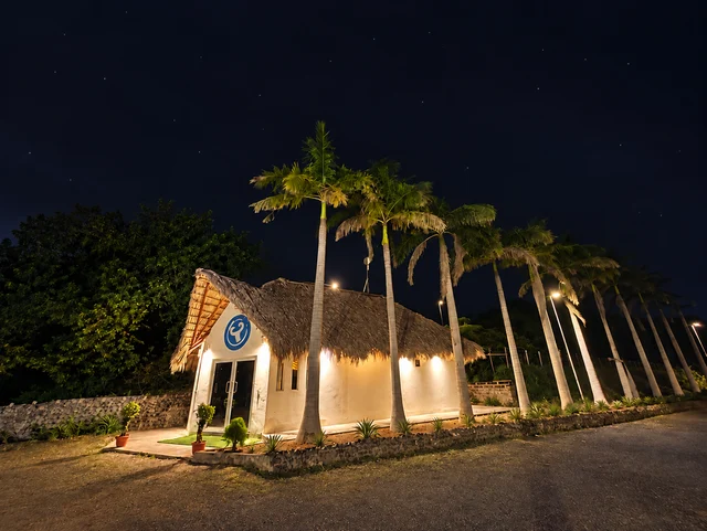 Palm-lined reception after dark