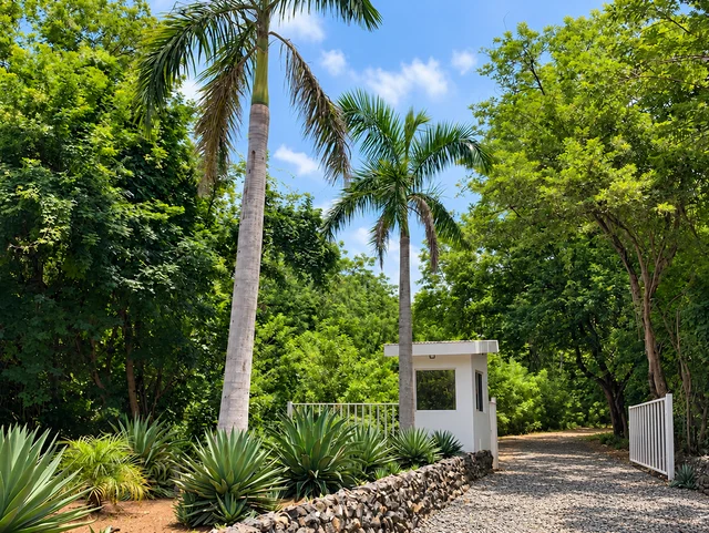 Palm-lined resort entrance