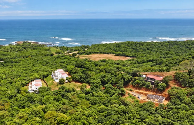 Resort homes and surrounding coastal greenery