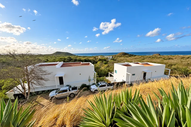 Hillside homes with Pacific views