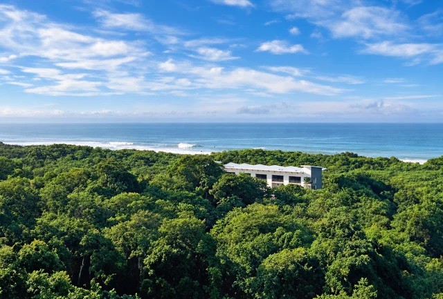 Condominiums surrounded by tropical greenery